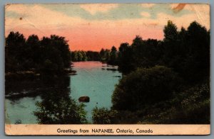 Postcard Napanee Ontario c1947 Greetings From Napanee Sceneic River View