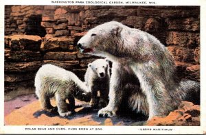 Polar Bear and Cubs Washington Park Zoological Garden Wilwaukee Wisconsin 1937