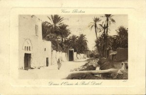 algeria, BISKRA, Old Town, Dans l'Oasis de Bab-Darb (1909) Embossed Postcard