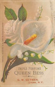 Approx. Size: 2.75 x 4 Triple perfume, Queen Bess  Late 1800's Tradecard Non  
