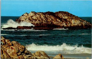 California's Monterey 17 Mile Drive Seal and Bird Rocks