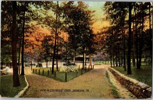 View in Edgewood Park Shamokin PA c1908 Vintage Postcard F58