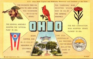 Ohio State Flag Bird Flower Tree and Seal Curteich