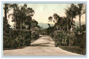 1910 Mission Ridge House Santa Barbara Hand Colored CA Postcard P181