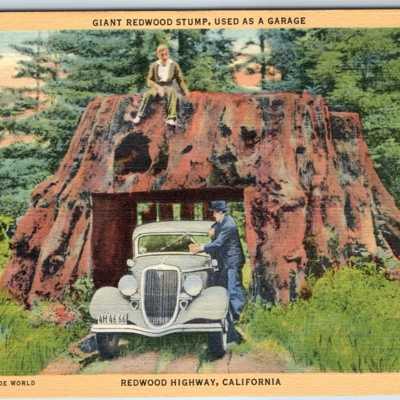 1936 Redwood Highway, Cali Giant Tree Stump Garage Linen Photo Hwy CA Teich A211