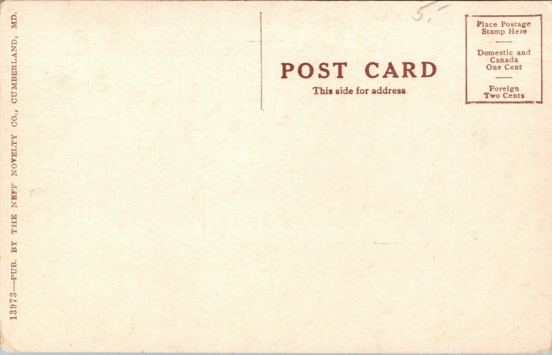 Vtg 1910s Knobley Mountains Near Cumberland Maryland MD Postcard