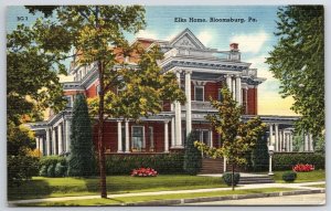 Elks Home Bloomsburg Pennsylvania Grounds Plants And Building Landmark Postcard