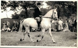 Horse Sports - White Horse And Rider Real Photo 03.98