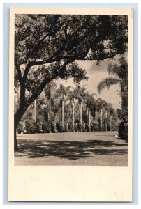 Vintage RPPC Huntington Library Courtyard Postcard P129E