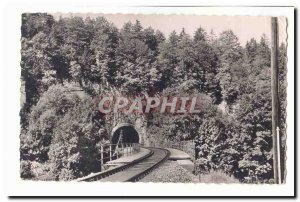 Austria Austria Postcard Old Danube Valley ferree Way Tiergarden