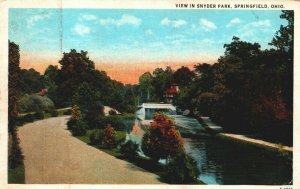 USA View In Snyder Park Springfield Ohio Vintage Postcard 03.88