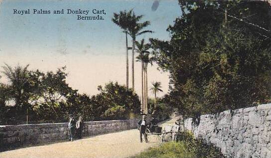 Bermuda Royal Palms and Donkey Cart 1937