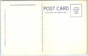 Postcard - Lazy Correspondence Card, Stepping High In The Southwest