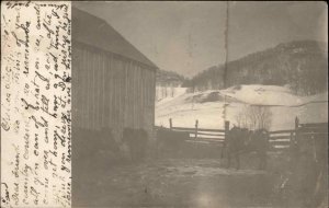 Farm Penned Cattle in Winter Washington VT Cancel Real Photo Postcard