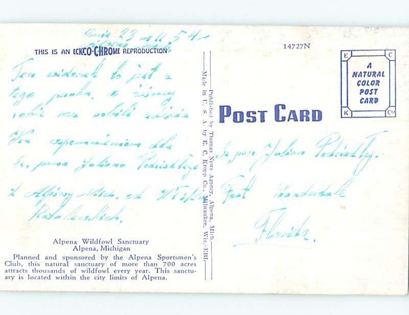 Pre-1980 SWAN AND DUCK BIRDS Alpena Michigan MI AD6437