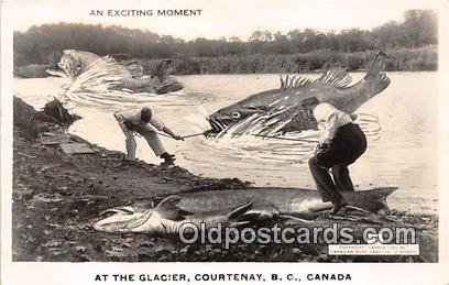 Exaggeration Fishing Glacier Courtenay, BC, Canada Posta 