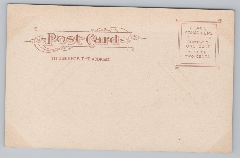 State View~Macon Georgia~Auditorium~Vintage Postcard