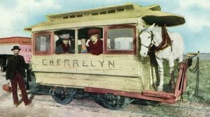 Postcard Hand Tinted 1915 View of Cherrelyn Horse Car, Denver, CO.    Q4