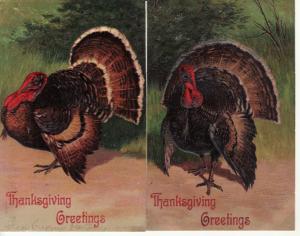 THANKSGIVING   TURKEY   2 PFB postcards Series 7721