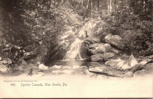 Pennsylvania Glen Onoko Spectre Cascade Rotograph