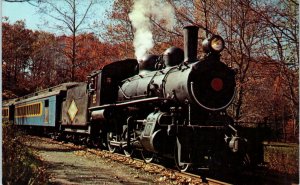 WOODDALE, DE Delaware   Wilmington & Western Steam  RAILROAD  1967  Postcard