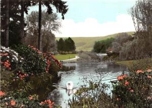 BG22715 bad pyrmont im kurpark cygne swan  germany CPSM 14.5x9cm