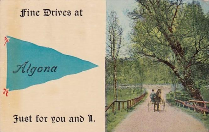 Pennant Series Algona Iowa 1914