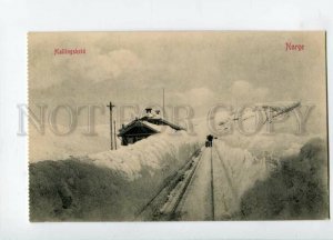 3114742 Norge NORWAY Hallingskeid railway station Vintage PC