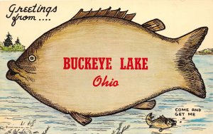 J68/ Buckeye Lake Newark Ohio Postcard Chrome Greetings Fish Comic 266