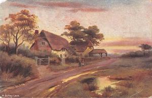 uk2635 a surrey lane  uk