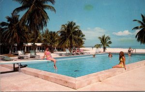 Florida Keys Islamorada The Islander Resort Swimming Pool