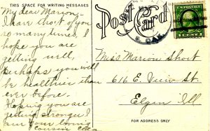 Greeting - Easter. Chick