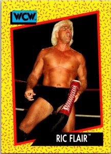 1991 WCW Wrestling Card Ric Flair sk21166