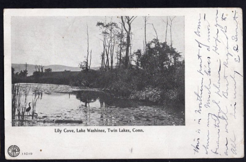 Connecticut Lily Cove, Lake Washinee, Twin Lakes pm1905 Und/B