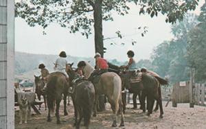 Campers and Horses Circle C Trail - (Boys may ride for extra $5 per hour)