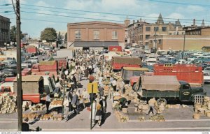 KITCHNER , Ontario , Canada , 1950-60s ; Market