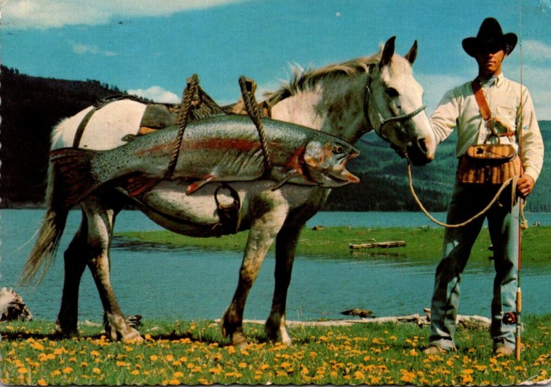 Fishing Humour Exageration Giant Fish Strapped To Horse 1973