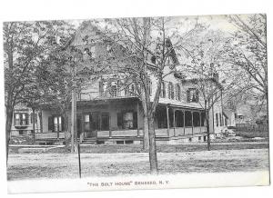 The Bolt House Geneseo New York