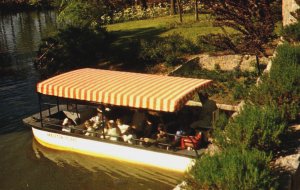 United States Virginia Norfolk The Botanical Gardens Vintage Postcard C298