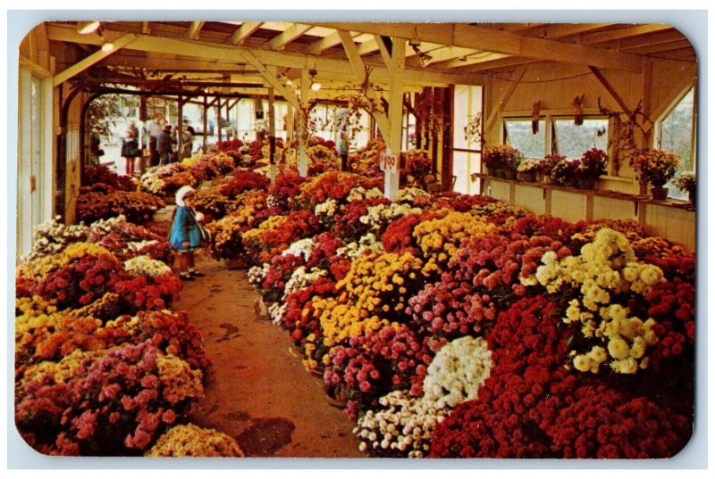 c1960's Flowers For Sale at Mums Garden Farm of Paschke North East PA Postcard