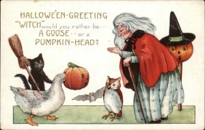 Halloween Witch Black Cat Goose JOL OWL c1910 Whitney Postcard
