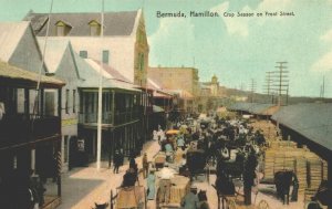 Bermuda Hamilton Crop Season on Front Street Vintage Postcard 03.72