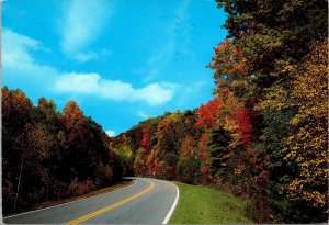 VINTAGE CONTINENTAL SIZE POSTCARD MOUNTAIN HIGHWAY IN GEORGIA 1970s