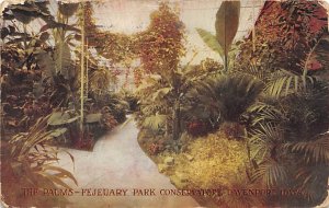 The Palms Fejeuary Park Conservatory Davenport, Iowa USA View Postcard Backing 