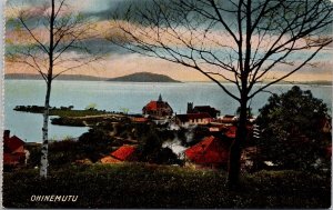 Ohinemutu NZ New Zealand Unused Postcard H23