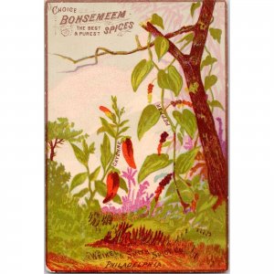 Weikel & Smith Spice Co Philadelphia - BOHSEMEEM Spices Victorian Trade Card