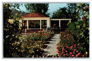 Vintage Postcard OR Mirrored Pergola Lambert Gardens Portland Oregon 