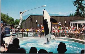 Skana Killer Whale Public Aquarium Vancouver BC Orca Unused Vintage Postcard D66