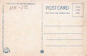 Greetings from Florida - Banana Blossoms and Fruit WB