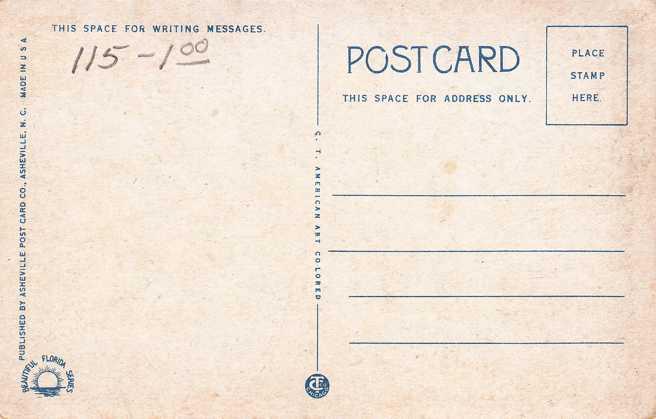 Greetings from Florida - Banana Blossoms and Fruit WB